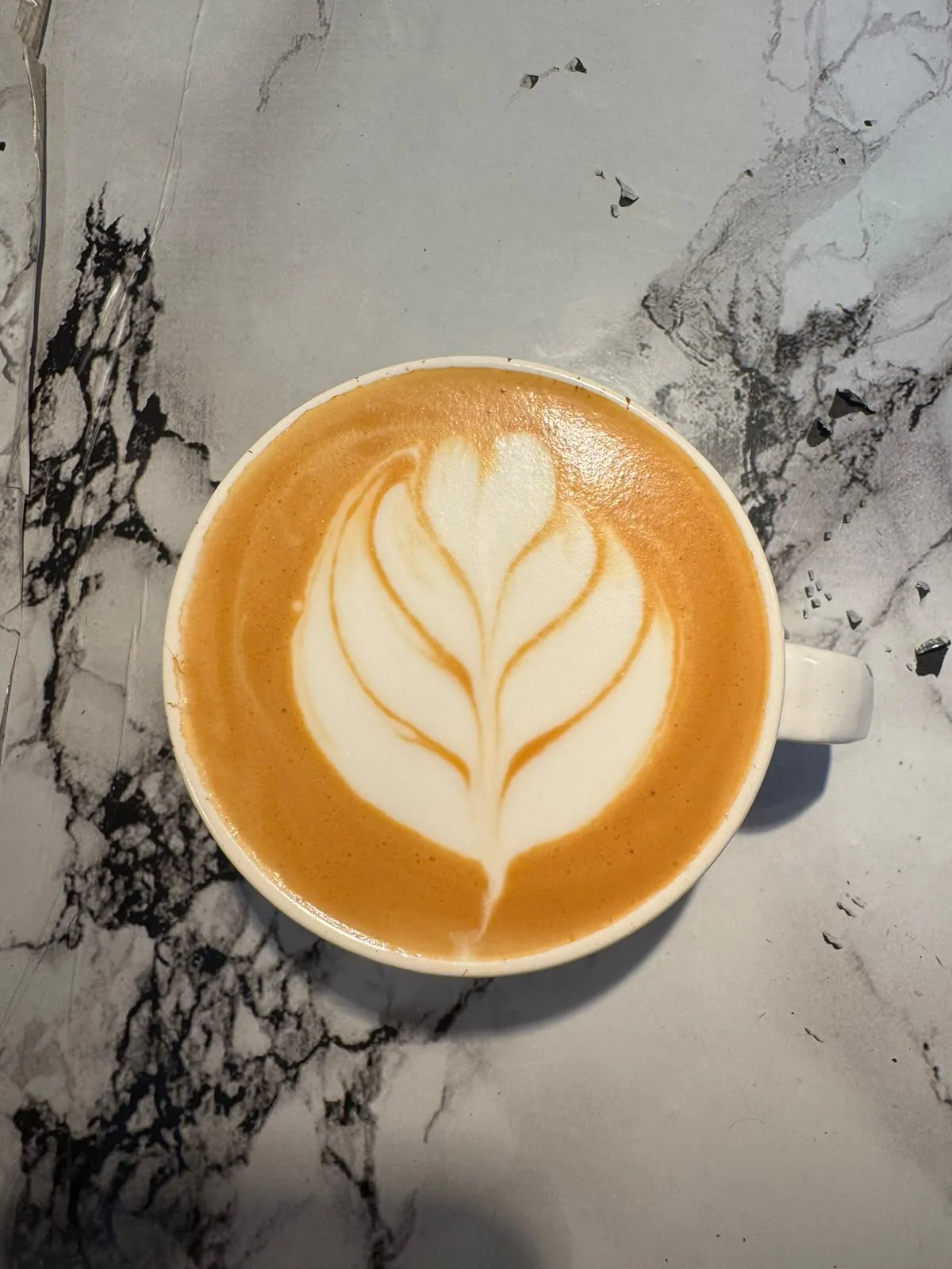A latte with a tulip.